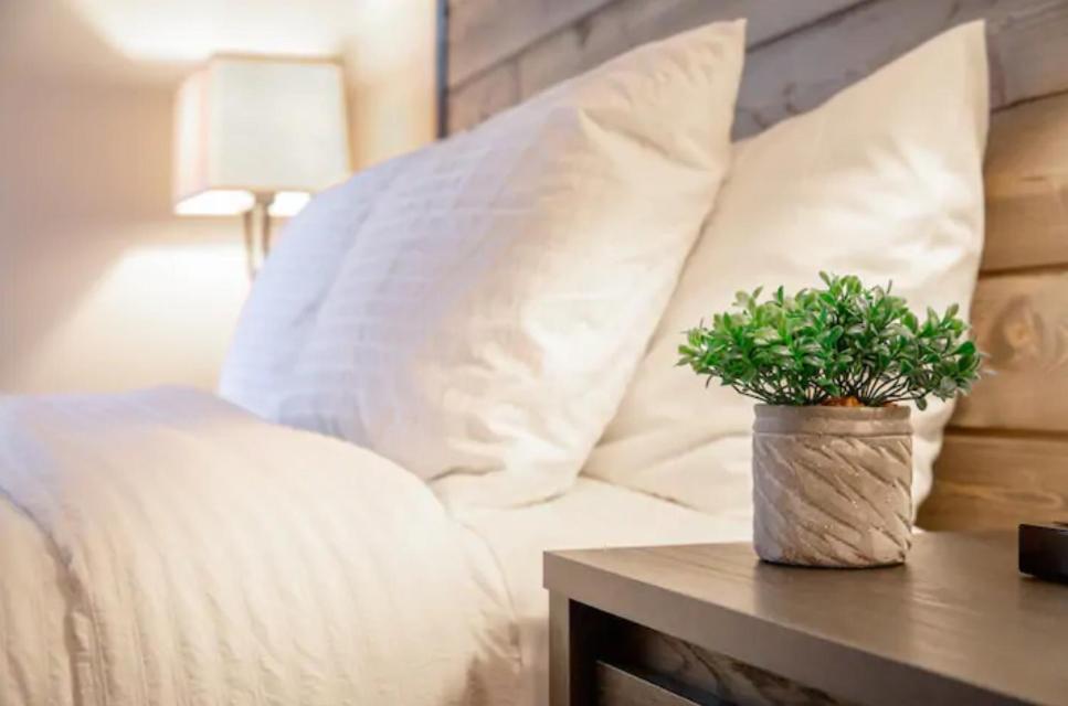 Modern Westshore Apartment แทมปา ภายนอก รูปภาพ